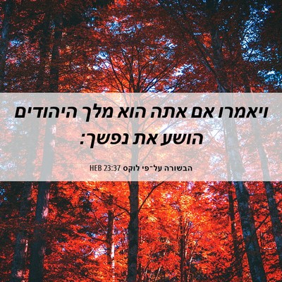 Picture 06 - הבשורה על־פי לוקס 23:37 HEB - ויאמרו אם אתה הוא מלך - Bible Verse Picture