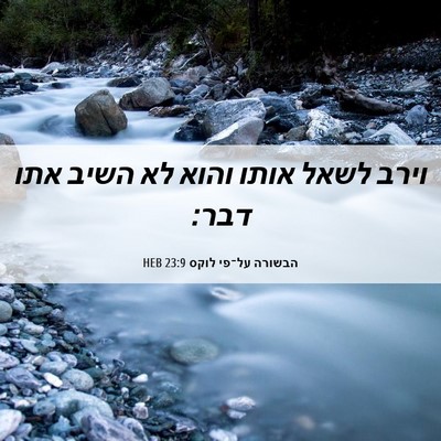 Picture 06 - הבשורה על־פי לוקס 23:9 HEB - וירב לשאל אותו והוא לא השיב - Bible Verse Picture
