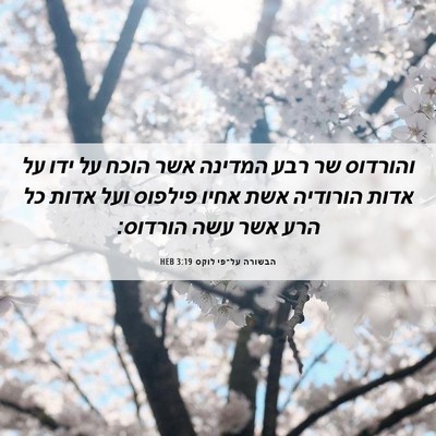 Picture 06 - הבשורה על־פי לוקס 3:19 HEB - והורדוס שר רבע המדינה אשר - Bible Verse Picture