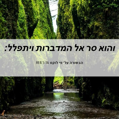 Picture 06 - הבשורה על־פי לוקס 5:16 HEB - והוא סר אל המדברות - Bible Verse Picture
