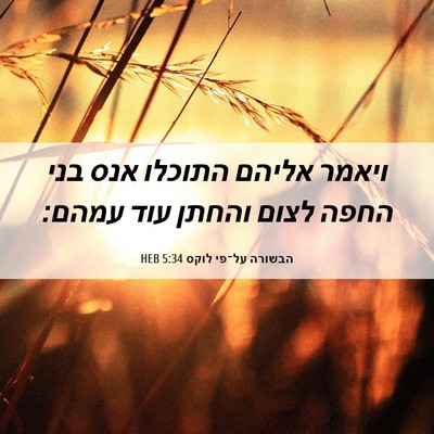 Picture 06 - הבשורה על־פי לוקס 5:34 HEB - ויאמר אליהם התוכלו אנס בני - Bible Verse Picture