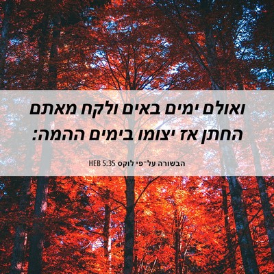 Picture 06 - הבשורה על־פי לוקס 5:35 HEB - ואולם ימים באים ולקח מאתם - Bible Verse Picture