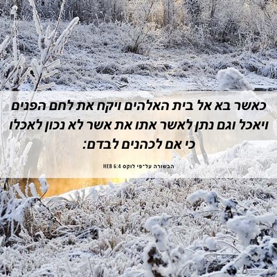 Picture 06 - הבשורה על־פי לוקס 6:4 HEB - כאשר בא אל בית האלהים ויקח - Bible Verse Picture