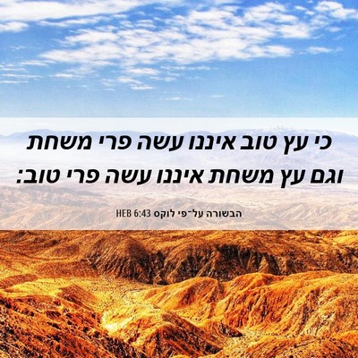 Picture 06 - הבשורה על־פי לוקס 6:43 HEB - כי עץ טוב איננו עשה פרי - Bible Verse Picture