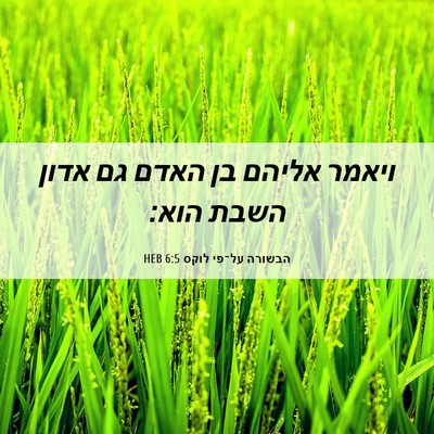 Picture 06 - הבשורה על־פי לוקס 6:5 HEB - ויאמר אליהם בן האדם גם אדון - Bible Verse Picture