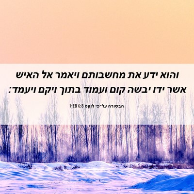 Picture 06 - הבשורה על־פי לוקס 6:8 HEB - והוא ידע את מחשבותם ויאמר - Bible Verse Picture
