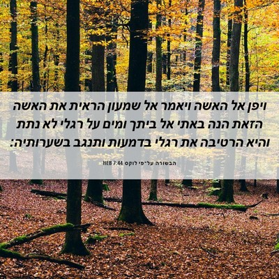 Picture 06 - הבשורה על־פי לוקס 7:44 HEB - ויפן אל האשה ויאמר אל שמעון - Bible Verse Picture