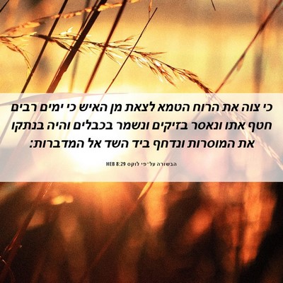 Picture 06 - הבשורה על־פי לוקס 8:29 HEB - כי צוה את הרוח הטמא לצאת מן - Bible Verse Picture