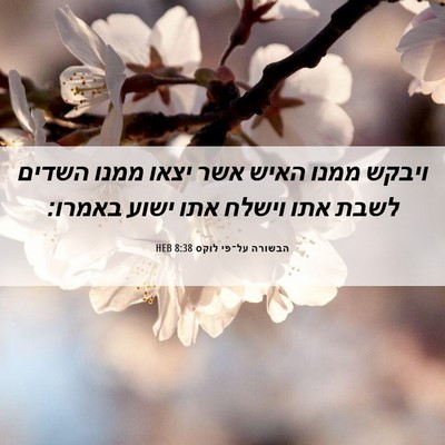 Picture 06 - הבשורה על־פי לוקס 8:38 HEB - ויבקש ממנו האיש אשר יצאו - Bible Verse Picture