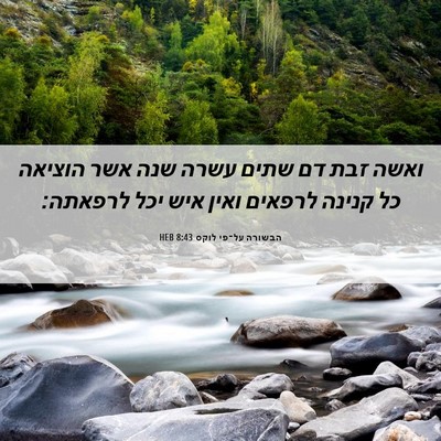Picture 06 - הבשורה על־פי לוקס 8:43 HEB - ואשה זבת דם שתים עשרה שנה - Bible Verse Picture