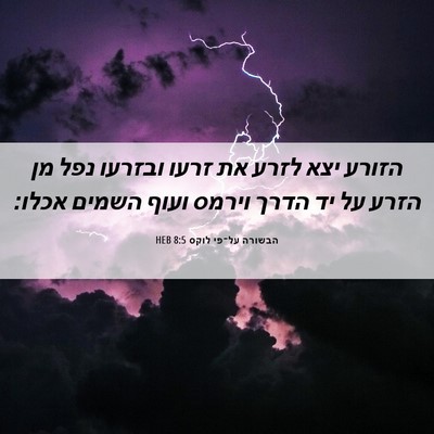 Picture 06 - הבשורה על־פי לוקס 8:5 HEB - הזורע יצא לזרע את זרעו - Bible Verse Picture