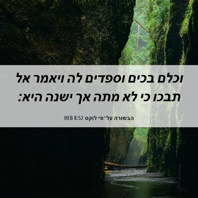 Picture 06 - הבשורה על־פי לוקס 8:52 HEB - וכלם בכים וספדים לה ויאמר - Bible Verse Picture