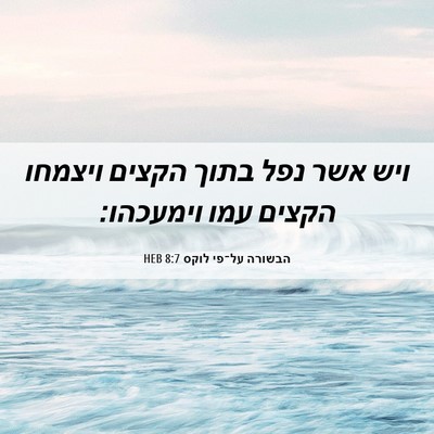 Picture 06 - הבשורה על־פי לוקס 8:7 HEB - ויש אשר נפל בתוך הקצים - Bible Verse Picture
