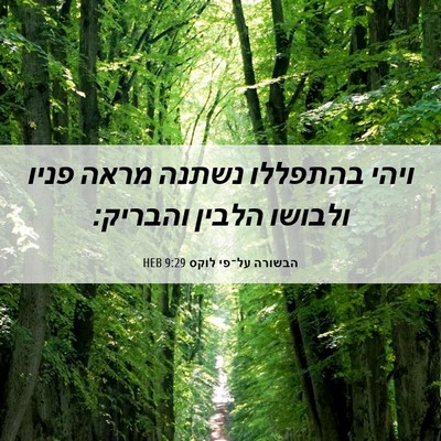 Picture 06 - הבשורה על־פי לוקס 9:29 HEB - ויהי בהתפללו נשתנה מראה - Bible Verse Picture