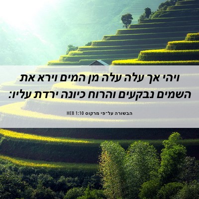 Picture 06 - הבשורה על־פי מרקוס 1:10 HEB - ויהי אך עלה עלה מן המים - Bible Verse Picture