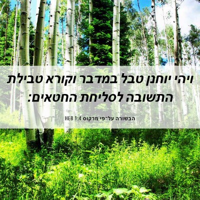 Picture 06 - הבשורה על־פי מרקוס 1:4 HEB - ויהי יוחנן טבל במדבר וקורא - Bible Verse Picture
