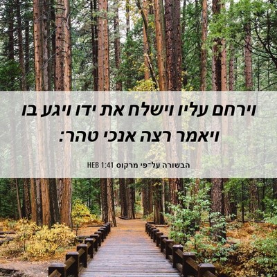 Picture 06 - הבשורה על־פי מרקוס 1:41 HEB - וירחם עליו וישלח את ידו - Bible Verse Picture