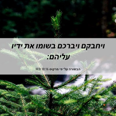Picture 06 - הבשורה על־פי מרקוס 10:16 HEB - ויחבקם ויברכם בשומו את - Bible Verse Picture