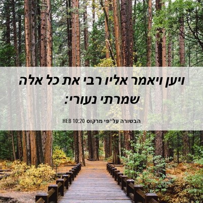 Picture 06 - הבשורה על־פי מרקוס 10:20 HEB - ויען ויאמר אליו רבי את כל - Bible Verse Picture