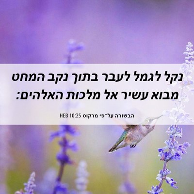 Picture 06 - הבשורה על־פי מרקוס 10:25 HEB - נקל לגמל לעבר בתוך נקב המחט - Bible Verse Picture