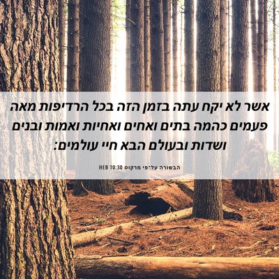 Picture 06 - הבשורה על־פי מרקוס 10:30 HEB - אשר לא יקח עתה בזמן הזה בכל - Bible Verse Picture