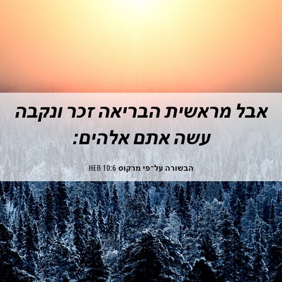 Picture 06 - הבשורה על־פי מרקוס 10:6 HEB - אבל מראשית הבריאה זכר - Bible Verse Picture