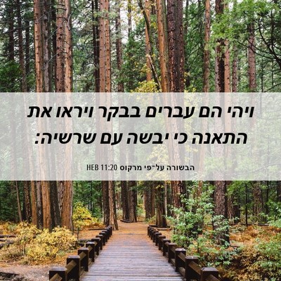 Picture 06 - הבשורה על־פי מרקוס 11:20 HEB - ויהי הם עברים בבקר ויראו את - Bible Verse Picture