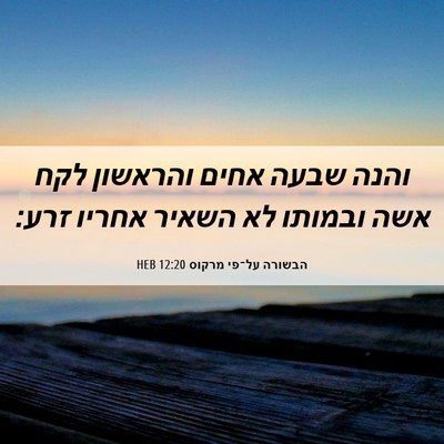 Picture 06 - הבשורה על־פי מרקוס 12:20 HEB - והנה שבעה אחים והראשון לקח - Bible Verse Picture