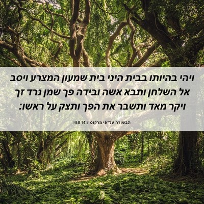 Picture 06 - הבשורה על־פי מרקוס 14:3 HEB - ויהי בהיותו בבית היני בית - Bible Verse Picture