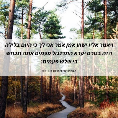 Picture 06 - הבשורה על־פי מרקוס 14:30 HEB - ויאמר אליו ישוע אמן אמר אני - Bible Verse Picture