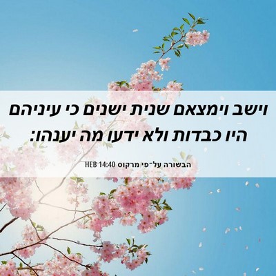 Picture 06 - הבשורה על־פי מרקוס 14:40 HEB - וישב וימצאם שנית ישנים כי - Bible Verse Picture