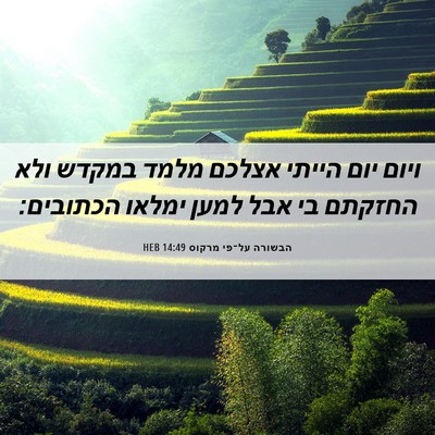 Picture 06 - הבשורה על־פי מרקוס 14:49 HEB - ויום יום הייתי אצלכם מלמד - Bible Verse Picture