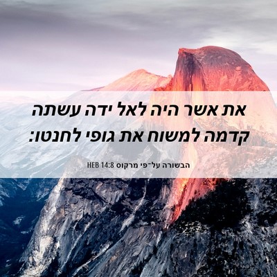 Picture 06 - הבשורה על־פי מרקוס 14:8 HEB - את אשר היה לאל ידה עשתה - Bible Verse Picture