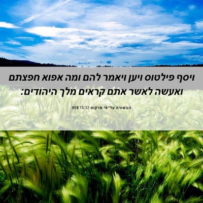 Picture 06 - הבשורה על־פי מרקוס 15:12 HEB - ויסף פילטוס ויען ויאמר להם - Bible Verse Picture