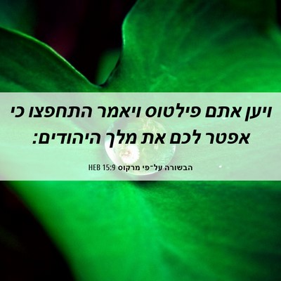 Picture 06 - הבשורה על־פי מרקוס 15:9 HEB - ויען אתם פילטוס ויאמר - Bible Verse Picture