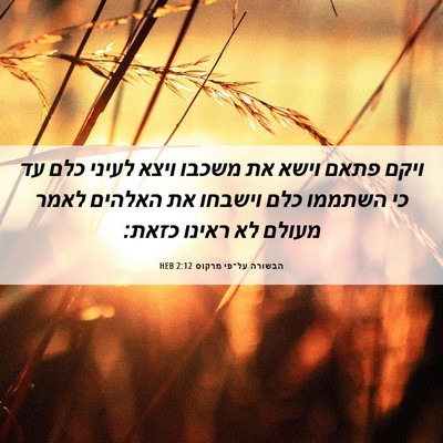 Picture 06 - הבשורה על־פי מרקוס 2:12 HEB - ויקם פתאם וישא את משכבו - Bible Verse Picture