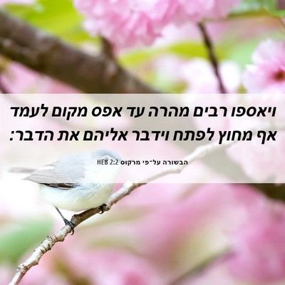 Picture 06 - הבשורה על־פי מרקוס 2:2 HEB - ויאספו רבים מהרה עד אפס - Bible Verse Picture