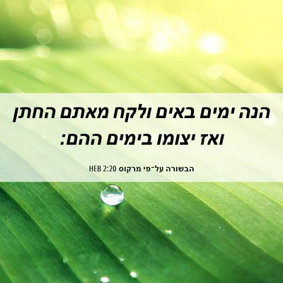 Picture 06 - הבשורה על־פי מרקוס 2:20 HEB - הנה ימים באים ולקח מאתם - Bible Verse Picture
