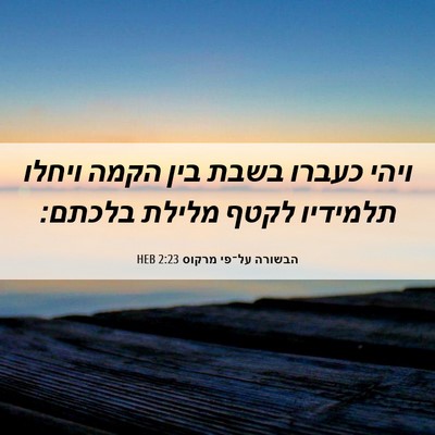 Picture 06 - הבשורה על־פי מרקוס 2:23 HEB - ויהי כעברו בשבת בין הקמה - Bible Verse Picture