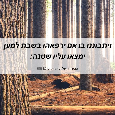 Picture 06 - הבשורה על־פי מרקוס 3:2 HEB - ויתבוננו בו אם ירפאהו בשבת - Bible Verse Picture