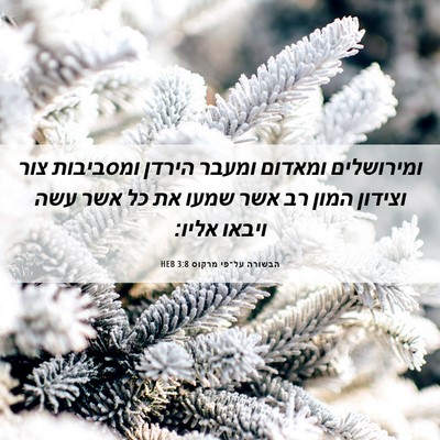 Picture 06 - הבשורה על־פי מרקוס 3:8 HEB - ומירושלים ומאדום ומעבר - Bible Verse Picture