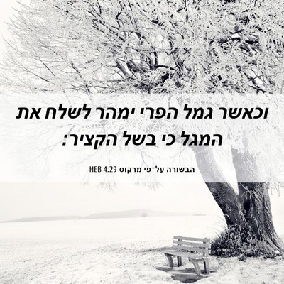 Picture 06 - הבשורה על־פי מרקוס 4:29 HEB - וכאשר גמל הפרי ימהר לשלח את - Bible Verse Picture