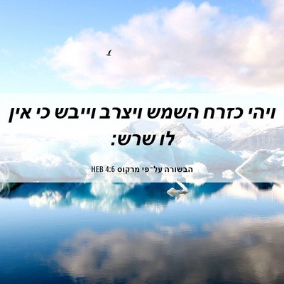 Picture 06 - הבשורה על־פי מרקוס 4:6 HEB - ויהי כזרח השמש ויצרב וייבש - Bible Verse Picture