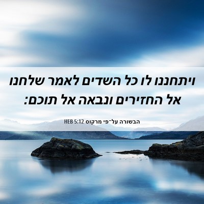 Picture 06 - הבשורה על־פי מרקוס 5:12 HEB - ויתחננו לו כל השדים לאמר - Bible Verse Picture