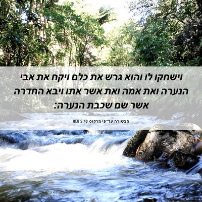 Picture 06 - הבשורה על־פי מרקוס 5:40 HEB - וישחקו לו והוא גרש את כלם - Bible Verse Picture