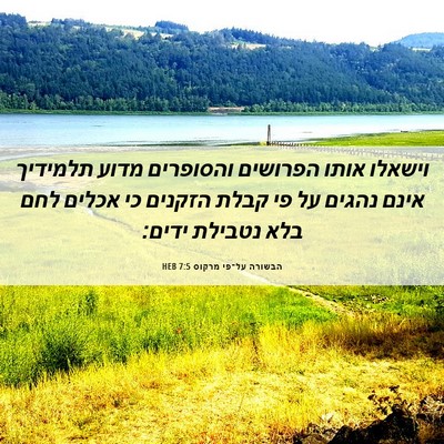 Picture 06 - הבשורה על־פי מרקוס 7:5 HEB - וישאלו אותו הפרושים - Bible Verse Picture