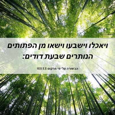 Picture 06 - הבשורה על־פי מרקוס 8:8 HEB - ויאכלו וישבעו וישאו מן - Bible Verse Picture