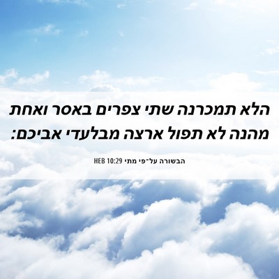 Picture 06 - הבשורה על־פי מתי 10:29 HEB - הלא תמכרנה שתי צפרים באסר - Bible Verse Picture