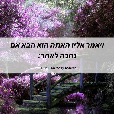 Picture 06 - הבשורה על־פי מתי 11:3 HEB - ויאמר אליו האתה הוא הבא אם - Bible Verse Picture