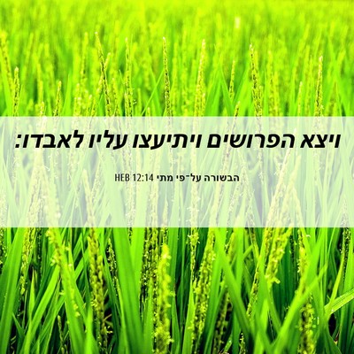 Picture 06 - הבשורה על־פי מתי 12:14 HEB - ויצא הפרושים ויתיעצו עליו - Bible Verse Picture